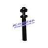 Blanket Screw & Locking Screw for KBA XL142 XL162